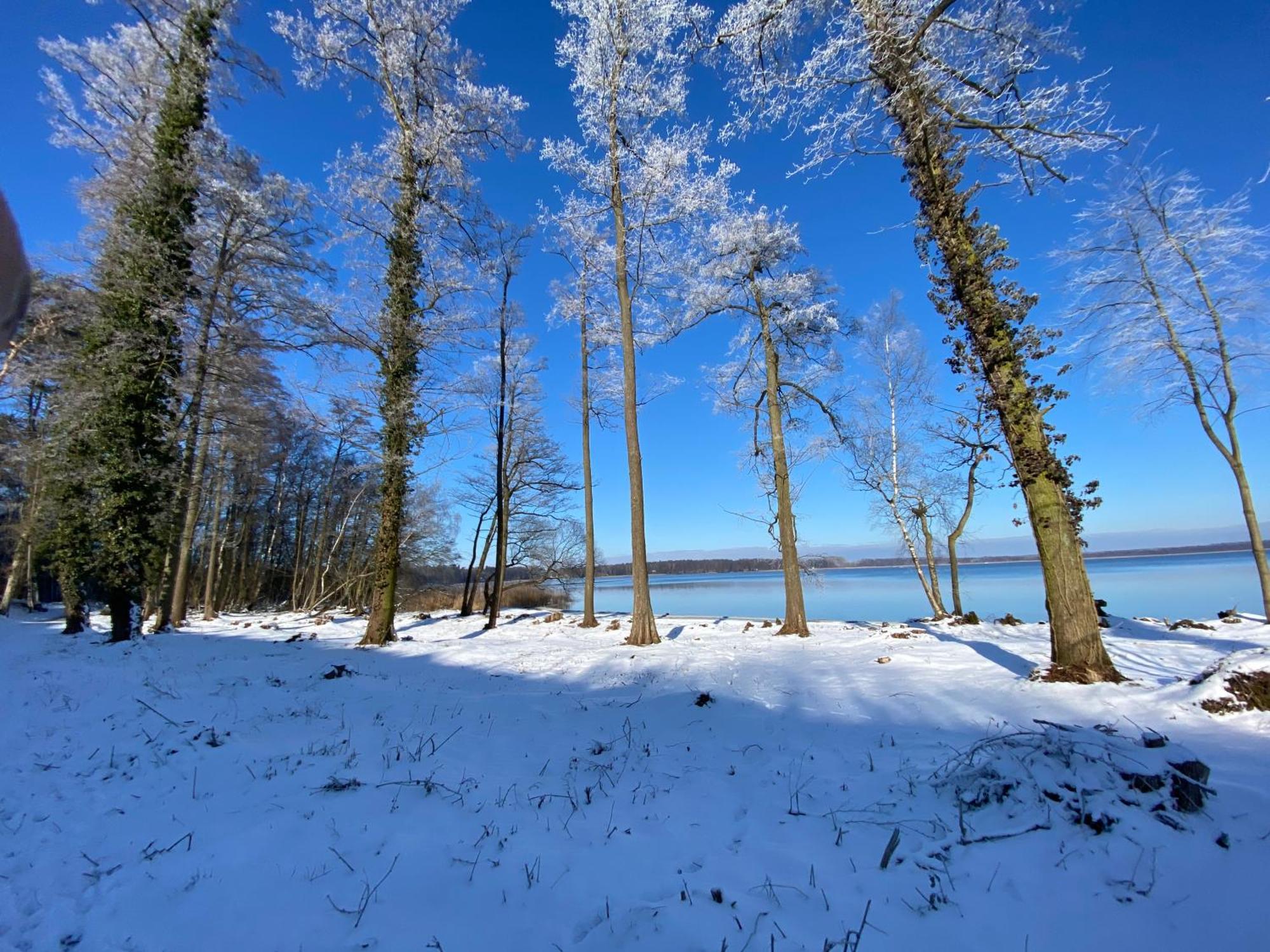 Wolfshotel Am Arendsee Arendsee  Zewnętrze zdjęcie